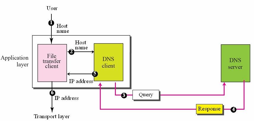 Domain Name System Detail description